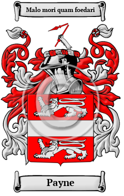 Payne Family Crest/Coat of Arms