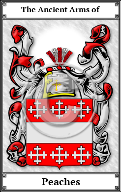 Peaches Family Crest Download (JPG) Book Plated - 600 DPI