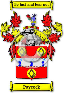 Paycock Family Crest Download (jpg) Legacy Series - 150 DPI