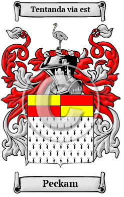 Peckam Family Crest/Coat of Arms