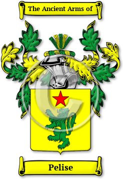 Pelise Family Crest Download (jpg) Legacy Series - 150 DPI