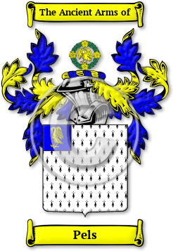 Pels Family Crest Download (JPG) Legacy Series - 600 DPI