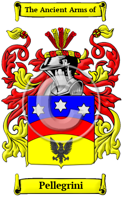 Pellegrini Family Crest/Coat of Arms
