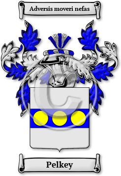 Pelkey Family Crest Download (jpg) Legacy Series - 150 DPI