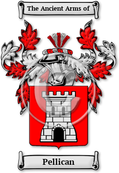 Pellican Family Crest Download (JPG) Legacy Series - 600 DPI