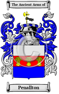 Penallton Family Crest/Coat of Arms
