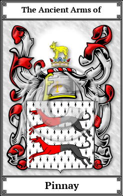 Pinnay Family Crest Download (JPG)  Book Plated - 150 DPI