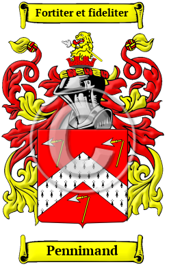 Pennimand Family Crest/Coat of Arms