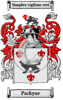 Parkyne Family Crest/Coat of Arms