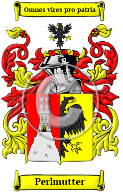 Perlmutter Family Crest/Coat of Arms