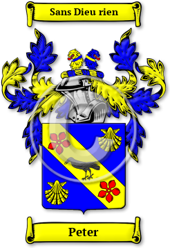 Peter Family Crest Download (jpg) Legacy Series - 150 DPI
