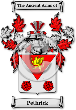 Pethrick Family Crest Download (JPG) Legacy Series - 600 DPI