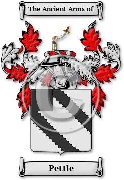Pettle Family Crest Download (JPG) Legacy Series - 600 DPI