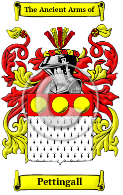 Pettingall Family Crest/Coat of Arms