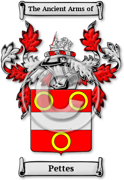 Pettes Family Crest Download (JPG) Legacy Series - 600 DPI