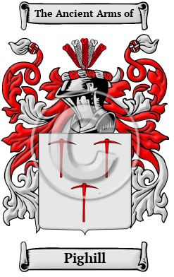 Pighill Family Crest/Coat of Arms