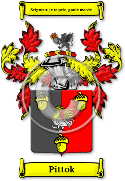 Pittok Family Crest Download (jpg) Legacy Series - 150 DPI