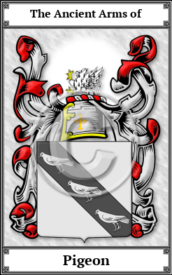 Pigeon Family Crest Download (JPG)  Book Plated - 150 DPI