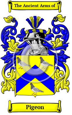 Pigeon Family Crest/Coat of Arms