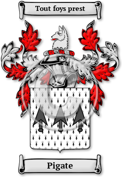 Pigate Family Crest Download (jpg) Legacy Series - 150 DPI