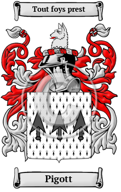 Pigott Family Crest/Coat of Arms
