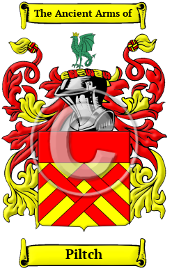 Piltch Family Crest Download (JPG) Heritage Series - 600 DPI