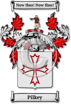 Pilkey Family Crest Download (jpg) Legacy Series - 150 DPI