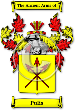 Pulis Family Crest Download (jpg) Legacy Series - 150 DPI