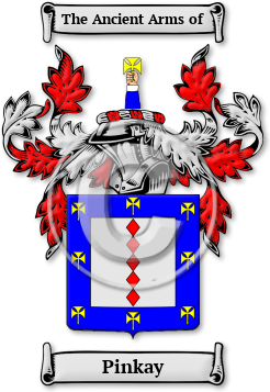 Pinkay Family Crest Download (JPG) Legacy Series - 600 DPI
