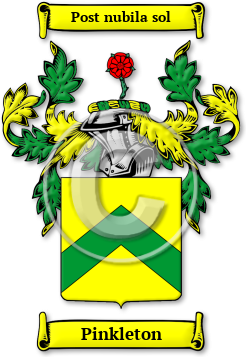 Pinkleton Family Crest Download (jpg) Legacy Series - 150 DPI
