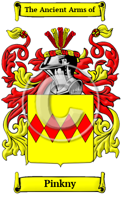 Pinkny Family Crest/Coat of Arms