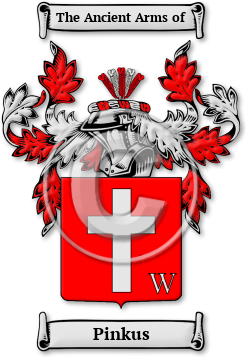 Pinkus Family Crest Download (jpg) Legacy Series - 150 DPI