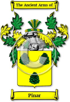 Pinar Family Crest Download (JPG) Legacy Series - 600 DPI