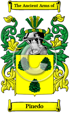 Pinedo Family Crest/Coat of Arms