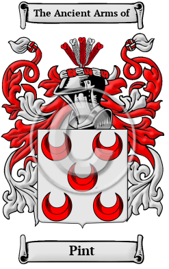 Pint Family Crest/Coat of Arms
