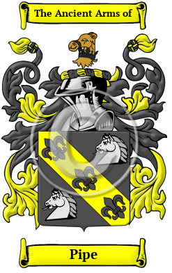 Pipe Family Crest/Coat of Arms