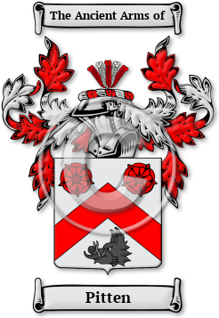 Pitten Family Crest Download (jpg) Legacy Series - 150 DPI