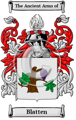 Blatten Family Crest/Coat of Arms