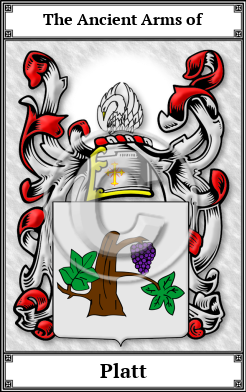 Platt Family Crest Download (JPG) Book Plated - 600 DPI