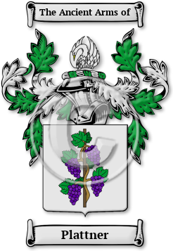 Plattner Family Crest Download (jpg) Legacy Series - 150 DPI
