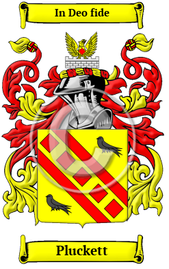 Pluckett Family Crest/Coat of Arms
