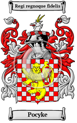 Pocyke Family Crest/Coat of Arms