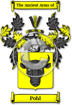 Pohl Family Crest Download (jpg) Legacy Series - 150 DPI