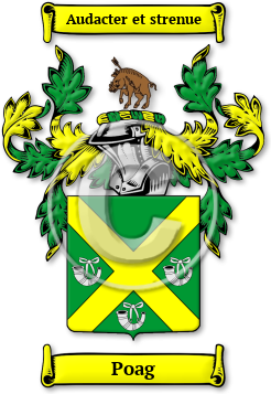 Poag Family Crest Download (jpg) Legacy Series - 150 DPI