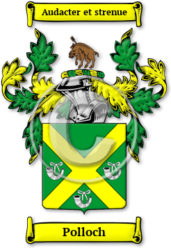 Polloch Family Crest Download (jpg) Legacy Series - 150 DPI