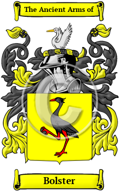 Bolster Family Crest/Coat of Arms