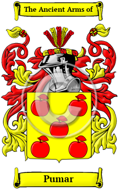 Pumar Name Meaning, Family History, Family Crest & Coats of Arms