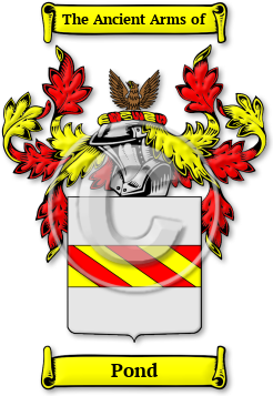 Pond Family Crest Download (jpg) Legacy Series - 150 DPI
