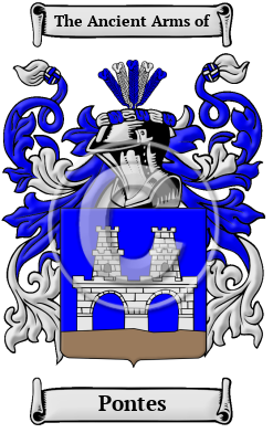 Pontes Family Crest/Coat of Arms