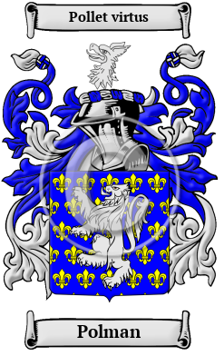 Polman Family Crest/Coat of Arms